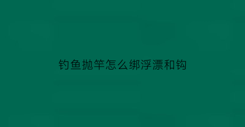 “钓鱼抛竿怎么绑浮漂和钩(钓鱼抛竿怎么绑浮漂和钩子视频)