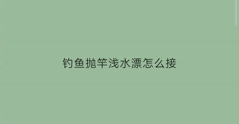 钓鱼抛竿浅水漂怎么接(钓鱼抛竿浅水漂怎么接视频)