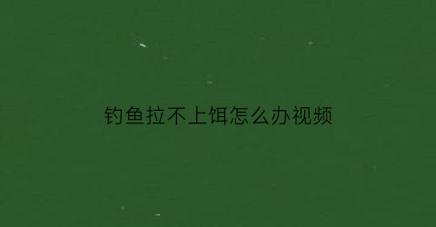 “钓鱼拉不上饵怎么办视频(钓鱼拉不上饵怎么办视频教学)