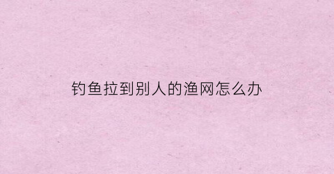 钓鱼拉到别人的渔网怎么办(钓鱼把人拉水里了的视频)