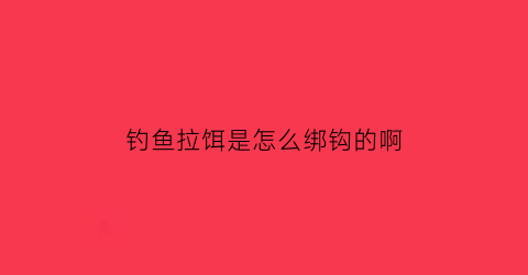 钓鱼拉饵是怎么绑钩的啊(拉饵怎么挂钩子上面)