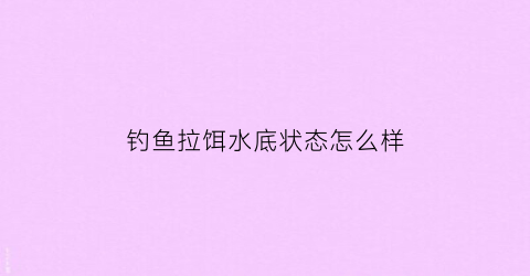 钓鱼拉饵水底状态怎么样(拉饵在水底需多久提竿)