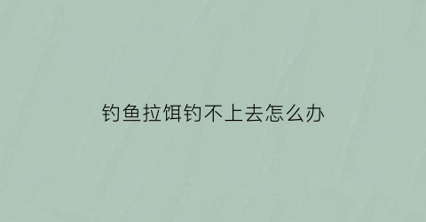 钓鱼拉饵钓不上去怎么办(拉饵钓不到大鱼)
