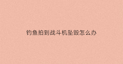 钓鱼拍到战斗机坠毁怎么办(钓鱼飞机)