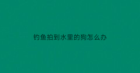 钓鱼拍到水里的狗怎么办