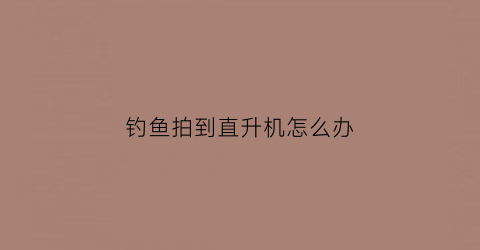 钓鱼拍到直升机怎么办(钓鱼拍到直升机怎么办视频)