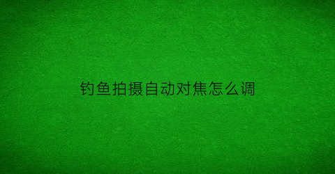 “钓鱼拍摄自动对焦怎么调(自拍钓鱼视频用的什么相机)