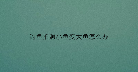 钓鱼拍照小鱼变大鱼怎么办(钓鱼拍照什么意思)