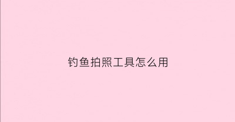 钓鱼拍照工具怎么用(钓鱼相机)