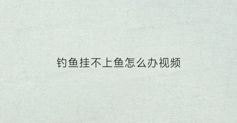 钓鱼挂不上鱼怎么办视频(钓鱼钓不上)