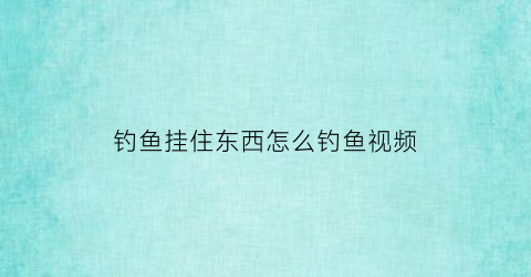 “钓鱼挂住东西怎么钓鱼视频(钓鱼总是挂起来的)