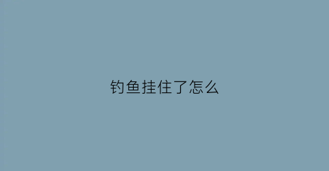 钓鱼挂住了怎么(钓鱼挂到杂物了怎么办)