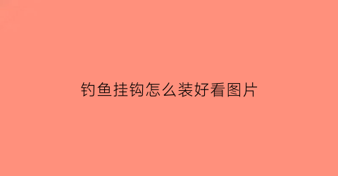 钓鱼挂钩怎么装好看图片(钓鱼的挂钩)