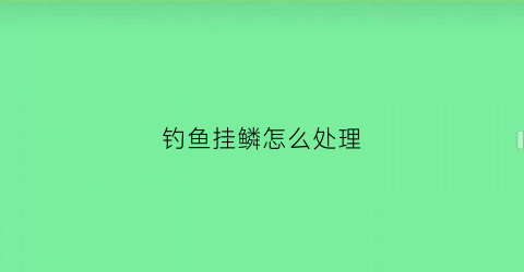 钓鱼挂鳞怎么处理(钓鱼老挂鱼鳞)