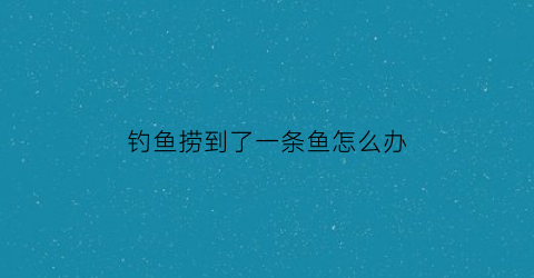 钓鱼捞到了一条鱼怎么办(钓鱼捞到了一条鱼怎么办呢)