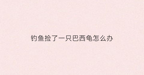 钓鱼捡了一只巴西龟怎么办(钓鱼捡了一只巴西龟怎么办视频)