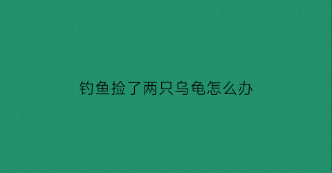 钓鱼捡了两只乌龟怎么办(钓了一只乌龟有什么讲究么)