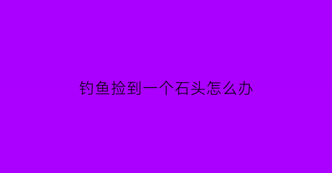 钓鱼捡到一个石头怎么办(男子钓鱼捡到奇石)