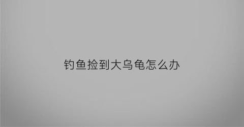 钓鱼捡到大乌龟怎么办(钓鱼钓到了一只乌龟好不好专家讲解)