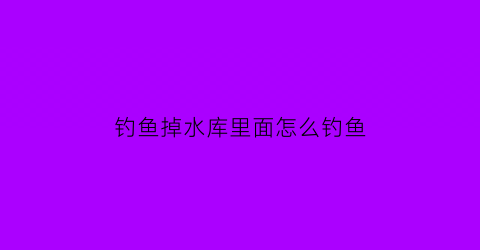 “钓鱼掉水库里面怎么钓鱼(钓鱼掉水库里面怎么钓鱼的)