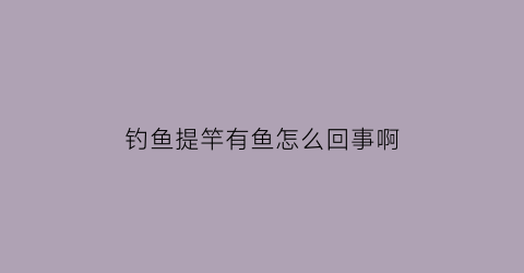 钓鱼提竿有鱼怎么回事啊(钓鱼提竿有鱼怎么回事啊图片)