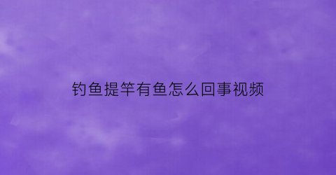 钓鱼提竿有鱼怎么回事视频(钓鱼提竿)