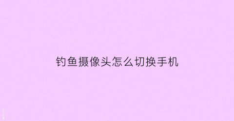 钓鱼摄像头怎么切换手机(钓鱼摄像头怎么连接手机)