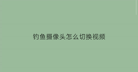 “钓鱼摄像头怎么切换视频(钓鱼摄像头怎么放入窝点)