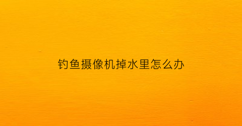 “钓鱼摄像机掉水里怎么办(钓鱼摄像机使用方法)