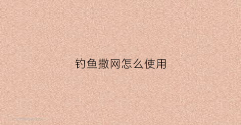 钓鱼撒网怎么使用(钓鱼撒网怎么操作视频)