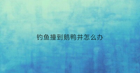 钓鱼撞到鹅鸭井怎么办(钓鱼撞到鹅鸭井怎么办啊)