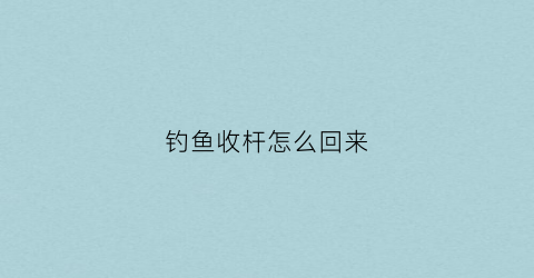 钓鱼收杆怎么回来(收杆后鱼钩放哪里)
