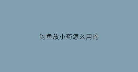 钓鱼放小药怎么用的