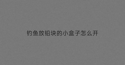 钓鱼放铅块的小盒子怎么开(钓鱼铅块的作用)
