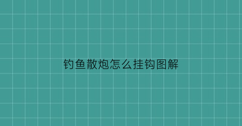 “钓鱼散炮怎么挂钩图解(钓鱼散炮怎么挂钩图解视频)