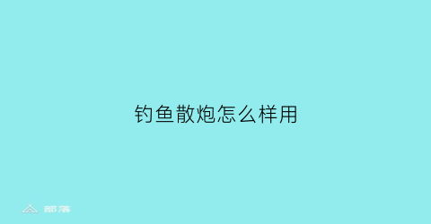 “钓鱼散炮怎么样用(野钓散炮怎么用)