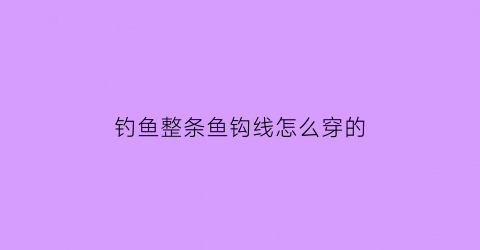 钓鱼整条鱼钩线怎么穿的(钓鱼整条鱼钩线怎么穿的快)