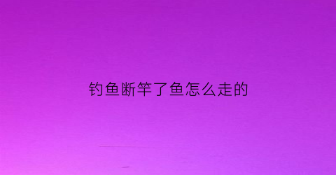 钓鱼断竿了鱼怎么走的(钓鱼断杆子)