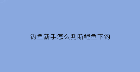 钓鱼新手怎么判断鲤鱼下钩