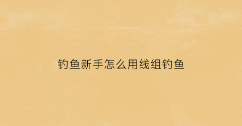 钓鱼新手怎么用线组钓鱼(钓鱼新手怎么用线组钓鱼好)