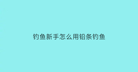 钓鱼新手怎么用铅条钓鱼(如何使用铅钩)