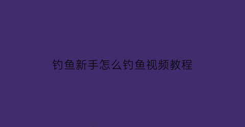 “钓鱼新手怎么钓鱼视频教程(钓鱼新手入门视频教程)