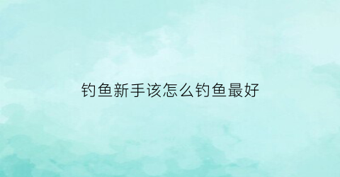 钓鱼新手该怎么钓鱼最好(新手钓鱼教程)