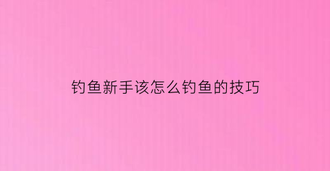 “钓鱼新手该怎么钓鱼的技巧(钓鱼新手该怎么钓鱼的技巧图解)