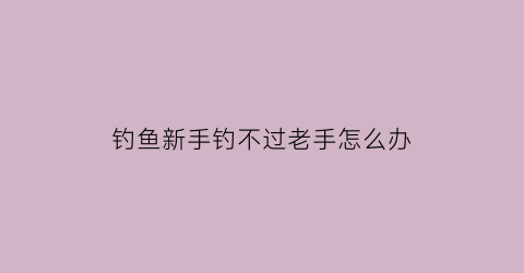 钓鱼新手钓不过老手怎么办
