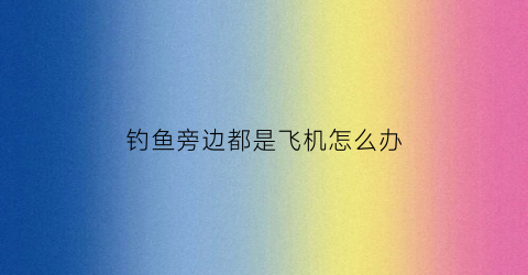 钓鱼旁边都是飞机怎么办(钓鱼旁边的人一直有口我的没口)