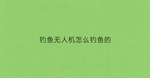 钓鱼无人机怎么钓鱼的(无人机钓鱼多少钱一台)