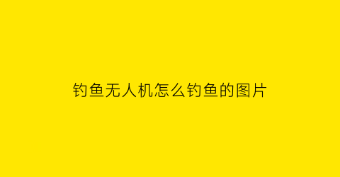 钓鱼无人机怎么钓鱼的图片