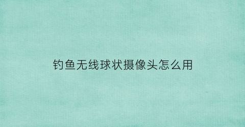 钓鱼无线球状摄像头怎么用(钓鱼射像头)
