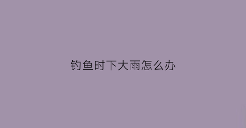 “钓鱼时下大雨怎么办(野钓下大雨还有鱼口吗)